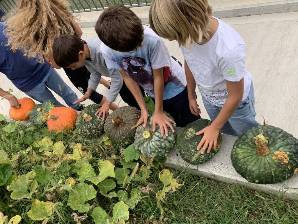 green market scuola morosolo