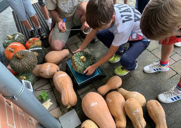 green market scuola morosolo