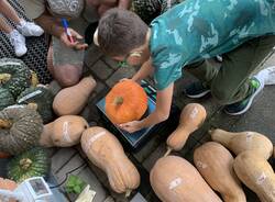 green market scuola morosolo