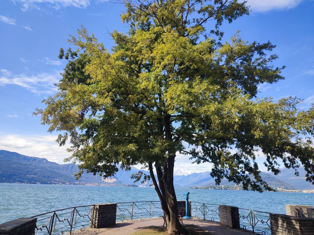 Il Lago Maggiore a Cerro di Laveno dopo le recenti piogge