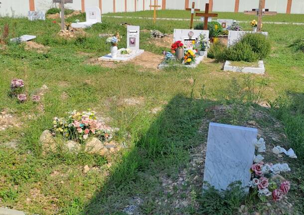 Le erbacce conquistano il cimitero di Arnate