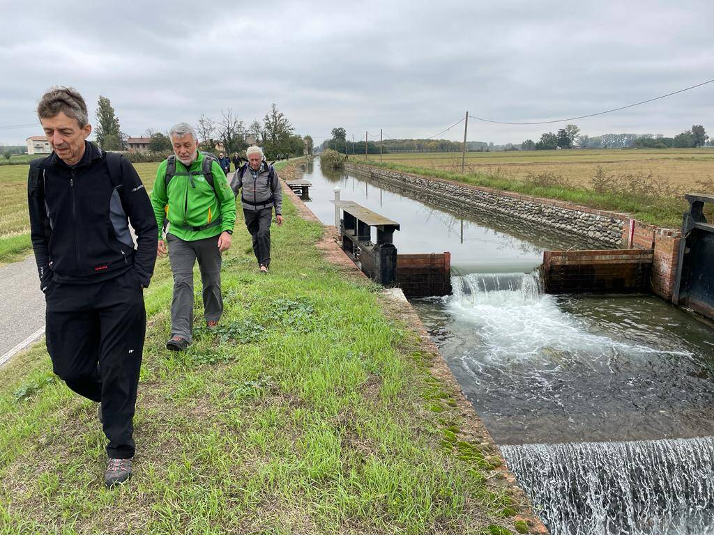 35 pellegrini in cammino da Morimondo a Pavia per rendere omaggio a Sant’Agostino