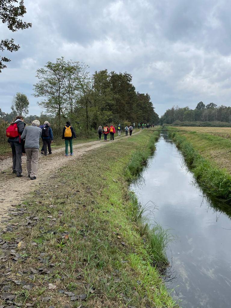 35 pellegrini in cammino da Morimondo a Pavia per rendere omaggio a Sant’Agostino