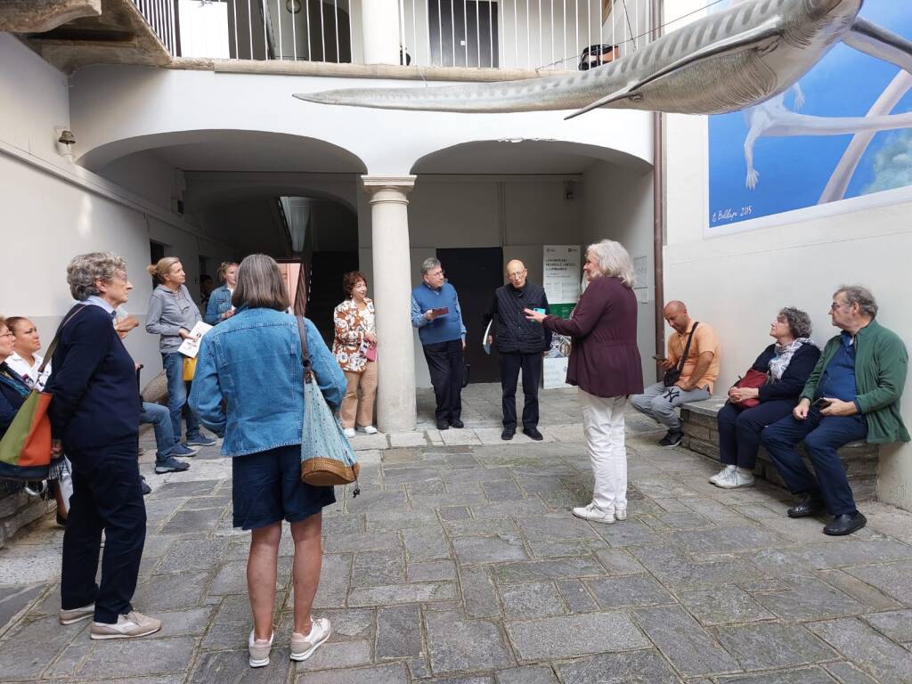 Besano - Venerdì con i Vip al Museo dei Fossili