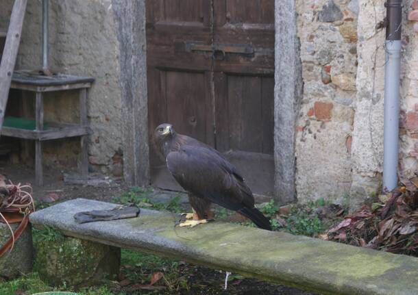 Ottobre caldanese