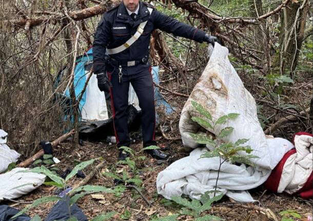 Spaccio nel bosco