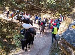 trekking Nepal