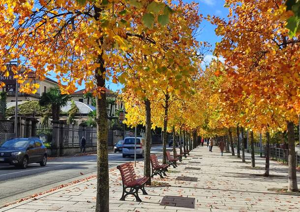 autunno lungolago luino