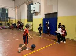 Casa del Giocattolo, dreaming team basket