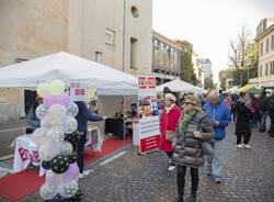 Festa di san martino 2023