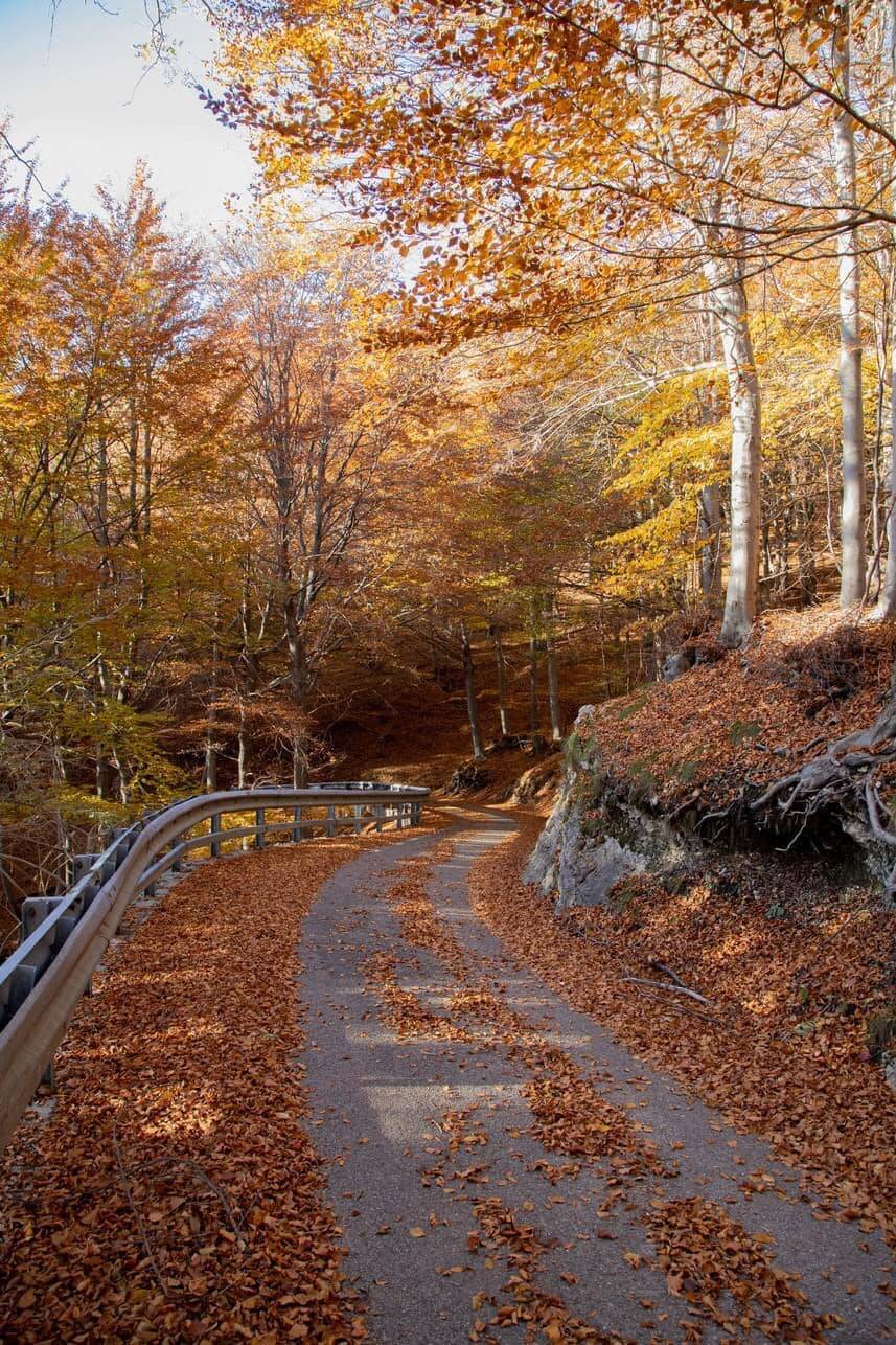 I colori dell'autunno visti dai fotografi di Oggi nel Varesotto