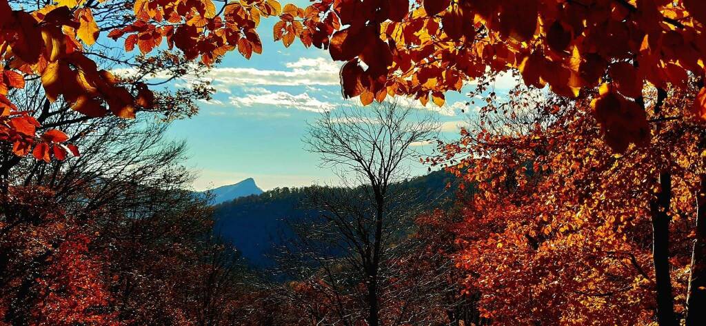 I colori dell'autunno visti dai fotografi di Oggi nel Varesotto