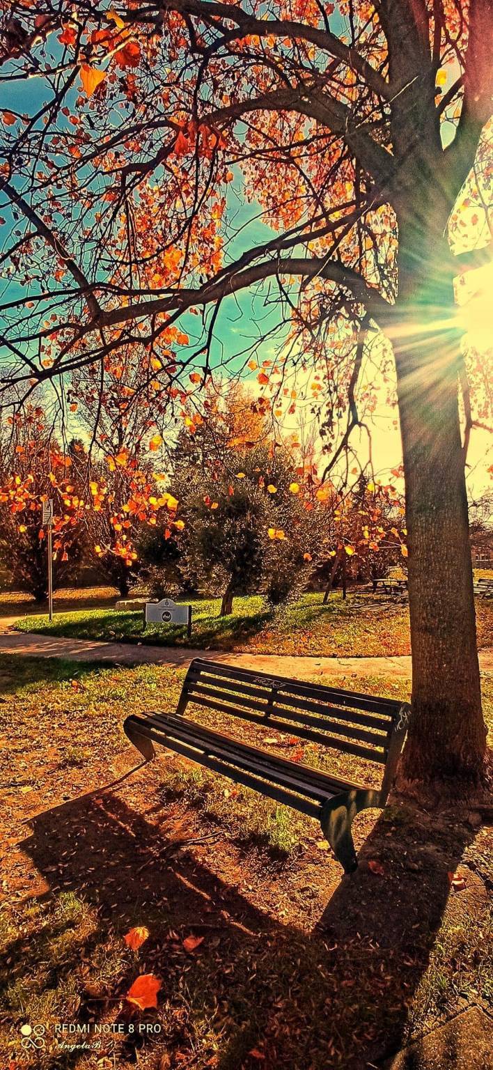 I colori dell'autunno visti dai fotografi di Oggi nel Varesotto