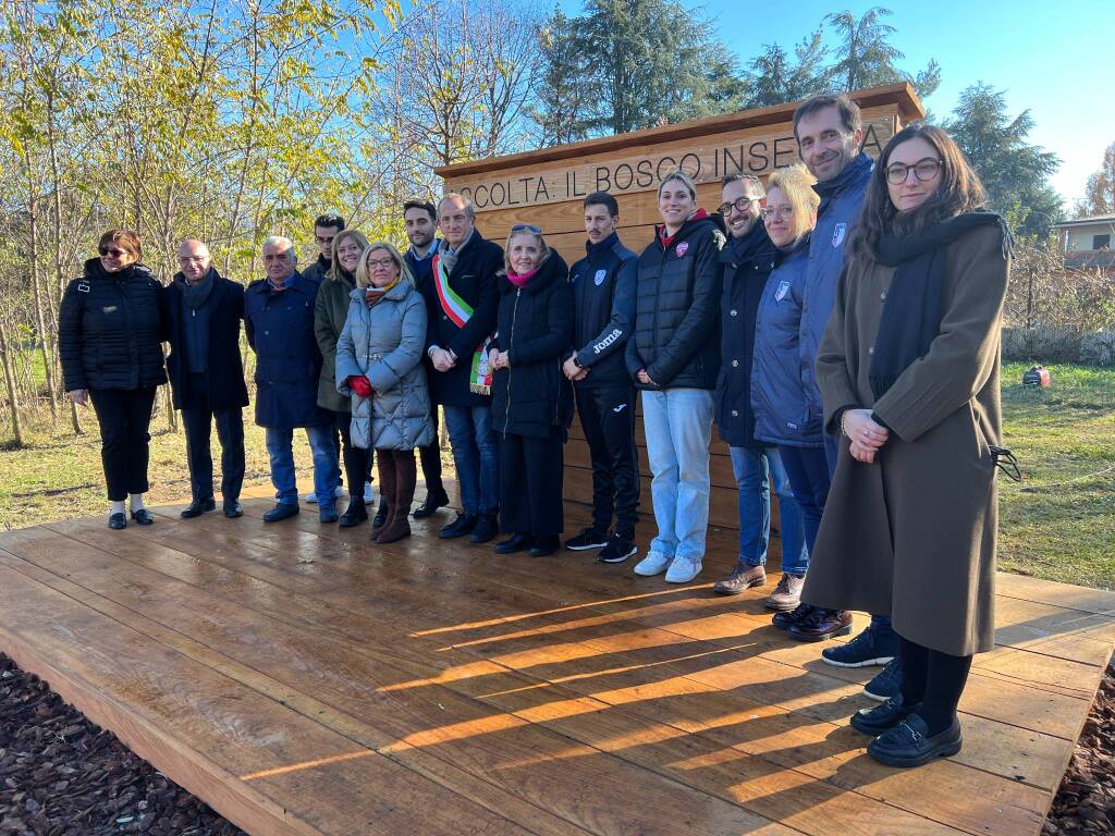 palestra a cielo aperto busto arsizio