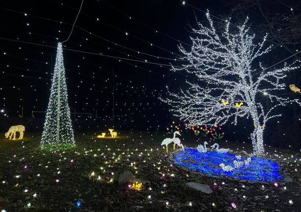 Le lucine di Leggiuno si accendono con la magia del Natale