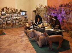 Presepe Biandronno