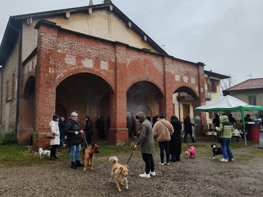 Anche a Olgiate Olona la benedizione degli animali