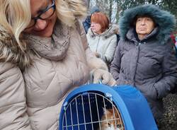 Anche a Olgiate Olona la benedizione degli animali