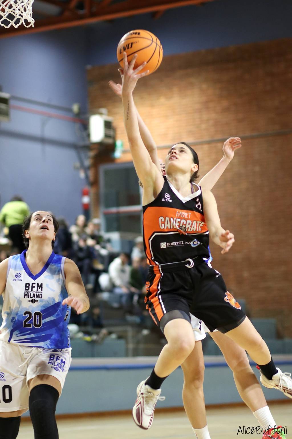 Basket femminile: la sfida tra le Bulldog e Basket Milano