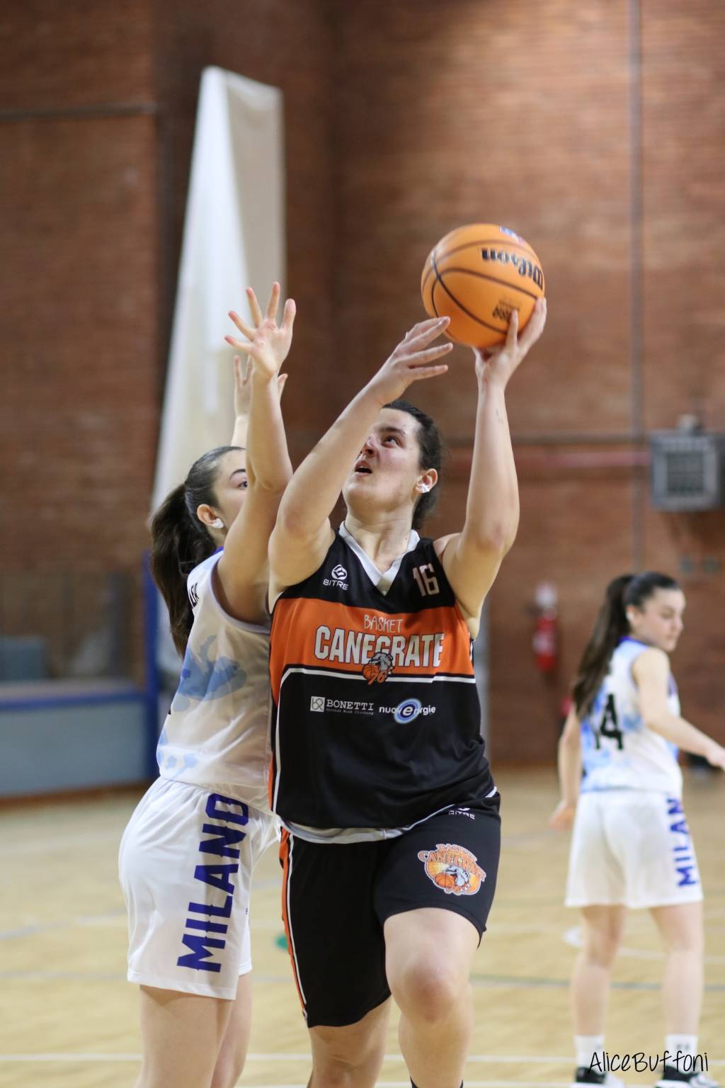 Basket femminile: la sfida tra le Bulldog e Basket Milano