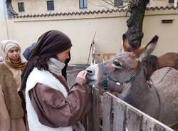 Il presepe vivente a Bizzozero