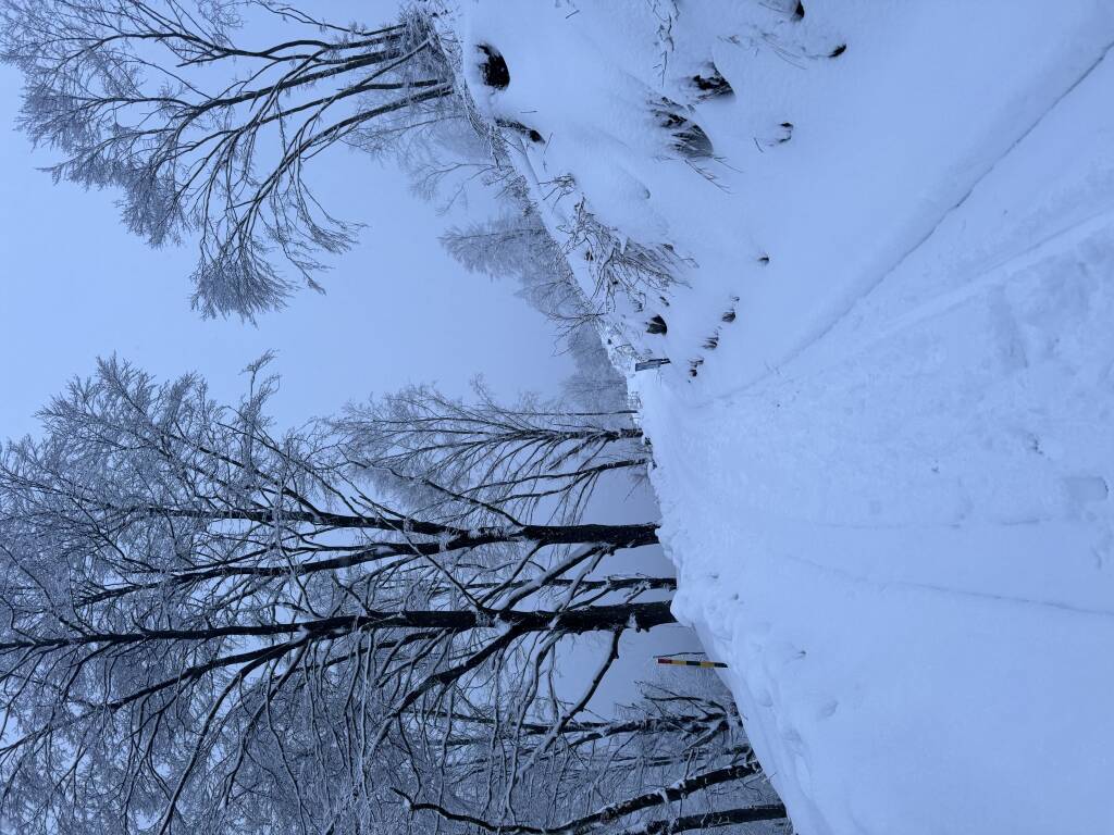 Neve Campo Dei Fiori 26/02/2024