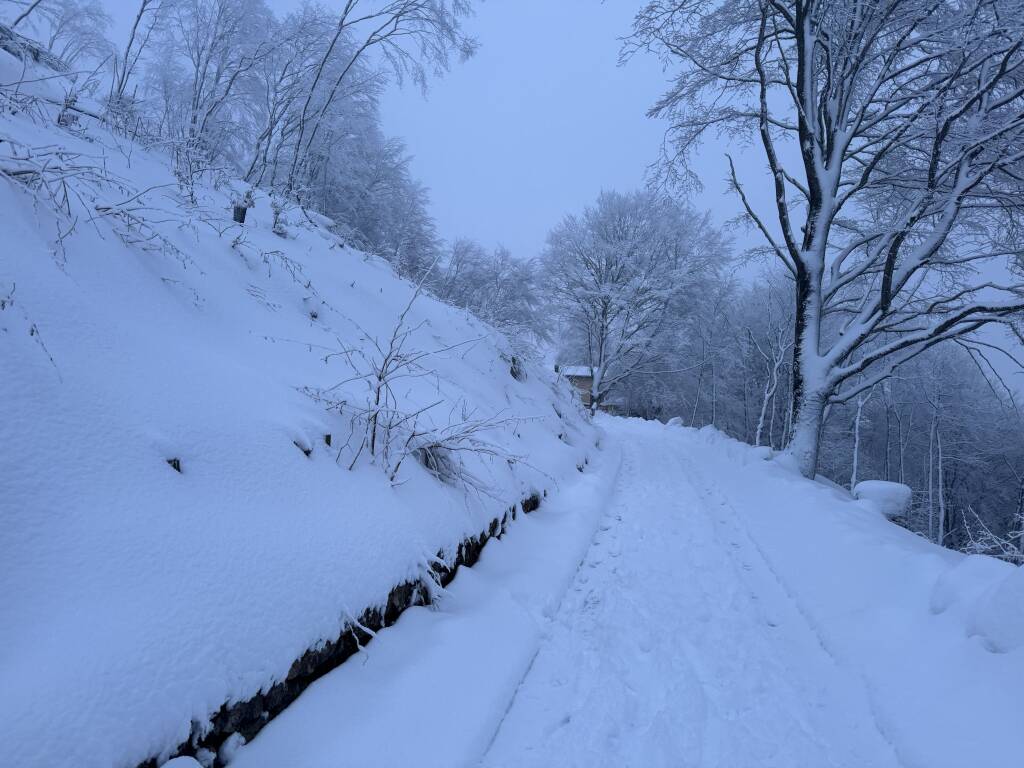 Neve Campo Dei Fiori 26/02/2024