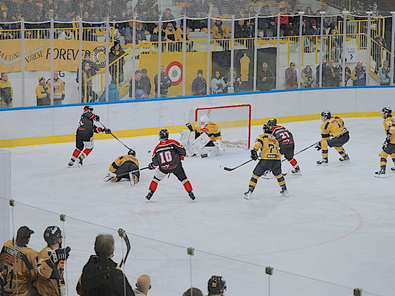 Hockey Mastini - Caldaro