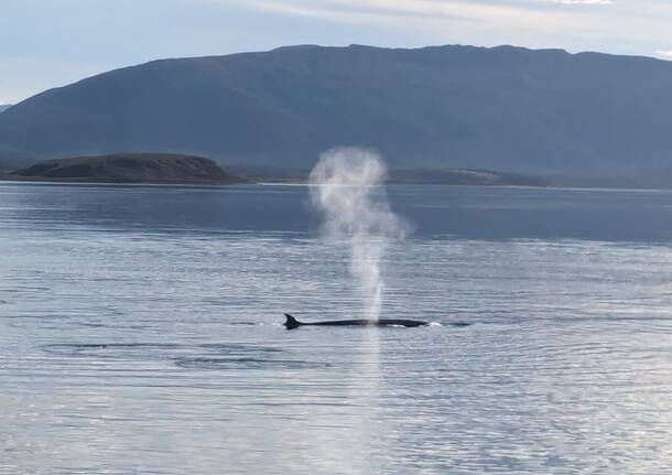 Volare lontano: da Punta Arenas a Puerto Williams