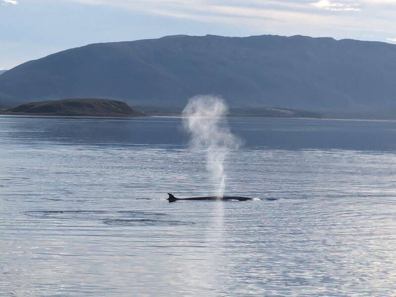 Volare lontano: da Punta Arenas a Puerto Williams