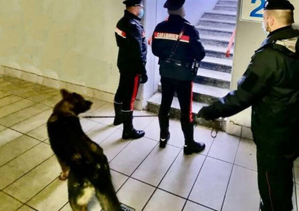 carabinieri cane droga