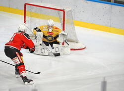 Gara3: Mastini Varese - Feltreghiaccio 4-2