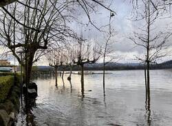 Varese, il fascino del “lago alto\"