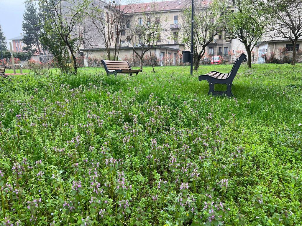 inaugurazione parco emanuela loi busto arsizio