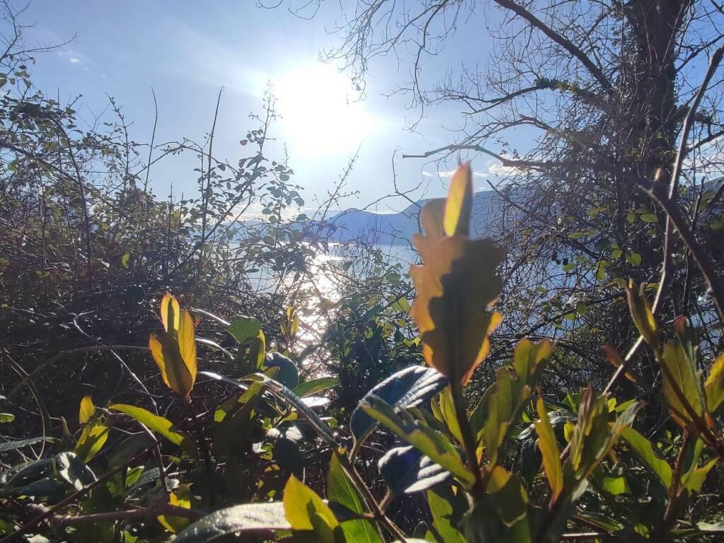 Primavera sul lago Maggiore