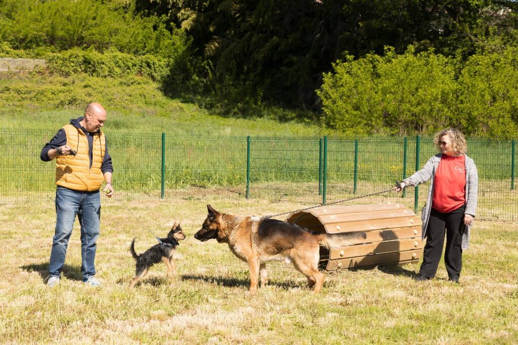  area cani Cardano al Campo 