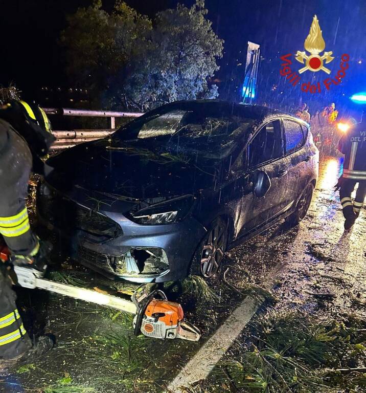 Cade una pianta sulla strada, vigili del fuoco in azione nel Comasco