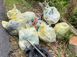 Due cassoni di rifiuti raccolti nei boschi a Valganna