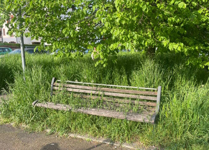 Erba alta al quartiere San Paolo di Legnano