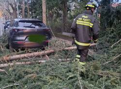 Forte vento su Varese, l'intervento dei Vigili del Fuoco 