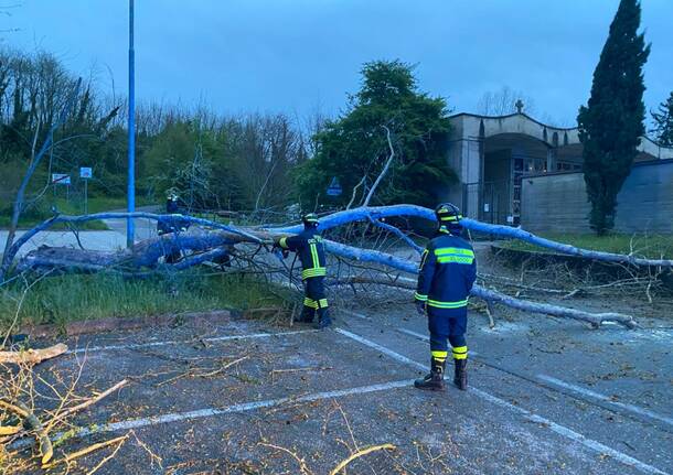 Forte vento su Varese, alberi sulle automobili e per strada