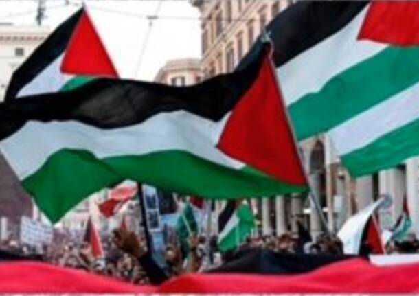 manifestazione palestina