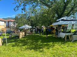 Al via l’AgreenFest a Casciago nel Parco dei ciliegi 