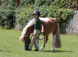 ASD Scerèe Settimane a Cavallo - campo estivo 2024