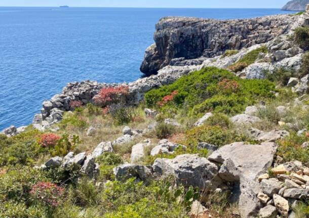 Cammino del Salento Santa Maria di Leuca