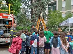 Gli studenti di Saronno a lezione di educazione stradale