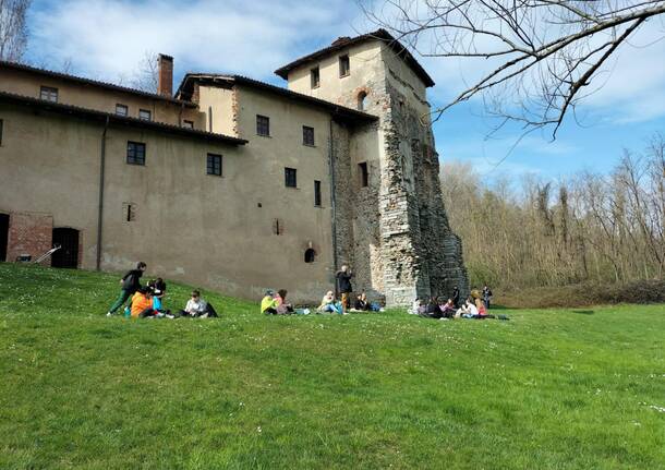 Herbarium Monastero di Torba Gornate Olona