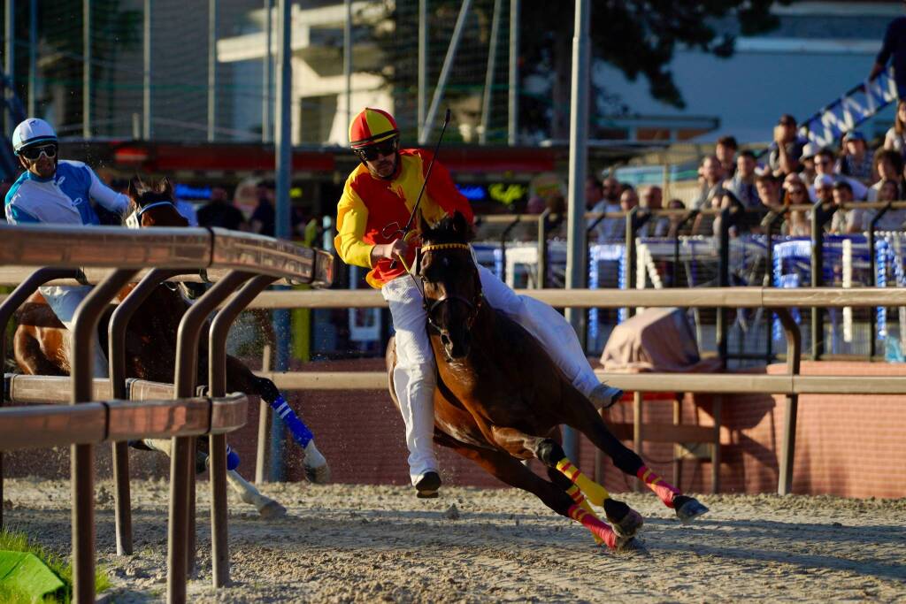 Il Palio 2024 è giallorosso - Foto Daniele Zaffaroni