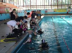 liceo gallarate piscina