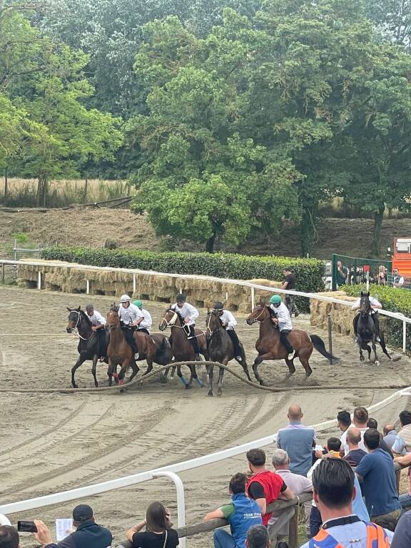 Palio di Fucecchio: giornate di prove sulla pista - credit Davide Bartesaghi